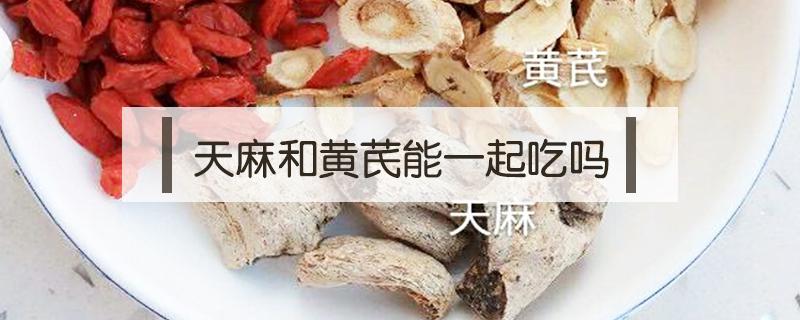 天麻和黄芪能一起吃吗（黄芪与天麻可以一起吃吗）
