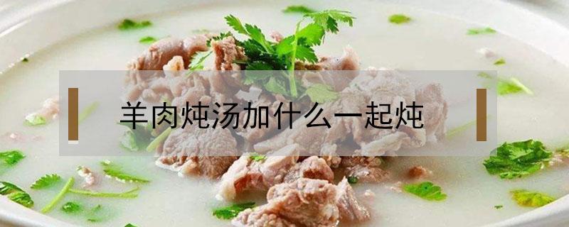 羊肉炖汤加什么一起炖 羊肉炖汤加什么一起炖 哺乳期