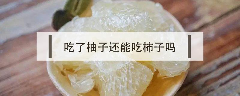 吃了柚子还能吃柿子吗 吃了柚子可以吃柿子吗