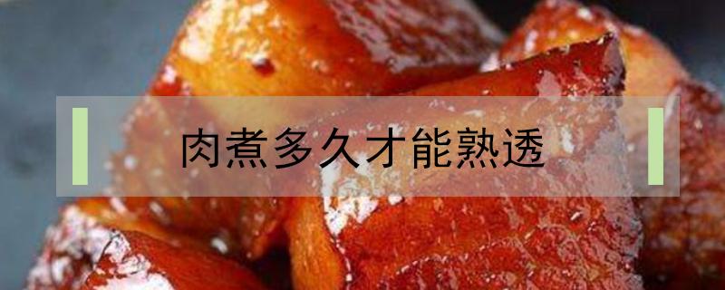 肉煮多久才能熟透（排骨肉煮多久才能熟透）