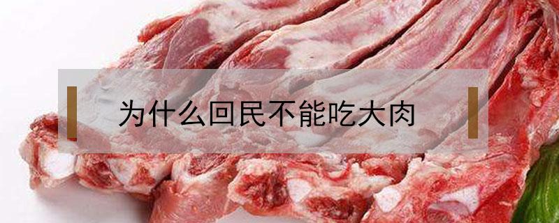 为什么回民不能吃大肉（回民为啥不能吃大肉）