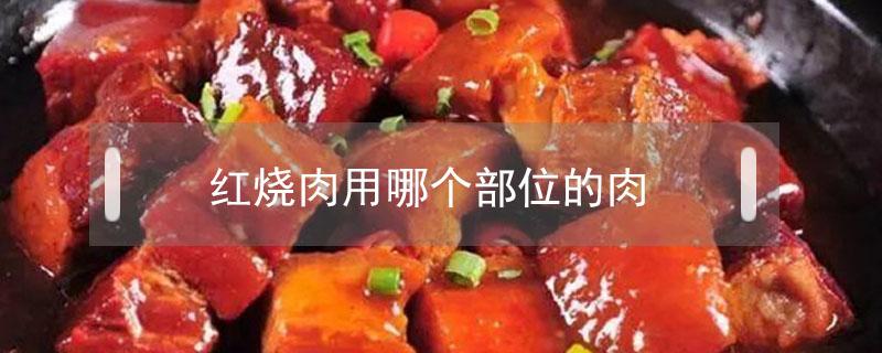 红烧肉用哪个部位的肉（红烧肉用什么部位的肉）