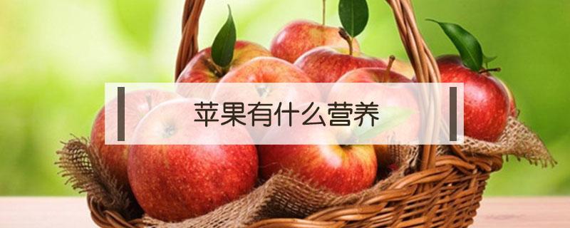 苹果有什么营养 苹果有什么营养素