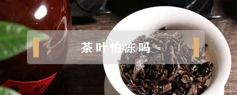 茶叶怕冻吗 茶叶怕冻吗零下30度