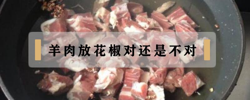 羊肉放花椒对还是不对（羊肉为啥不能放花椒）