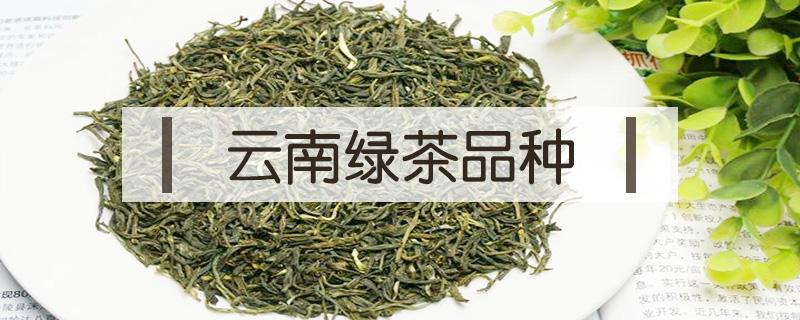 云南绿茶品种（云南绿茶品种有哪些）