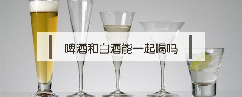 啤酒和白酒能一起喝吗 啤酒能和白酒一起喝嘛