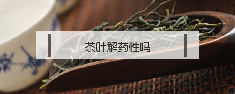 茶叶解药性吗（茶叶都解药性吗）