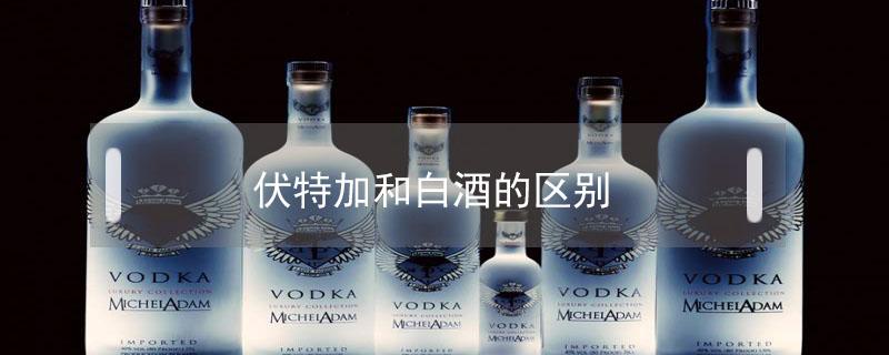 伏特加和白酒的区别 白酒与伏特加区别