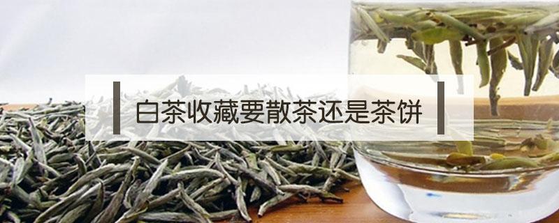 白茶收藏要散茶还是茶饼（白茶收藏散装还是饼茶）