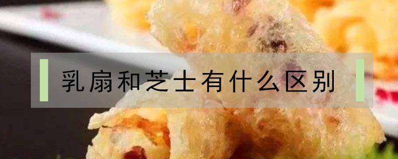 乳扇和芝士有什么区别 芝士扇贝用什么芝士