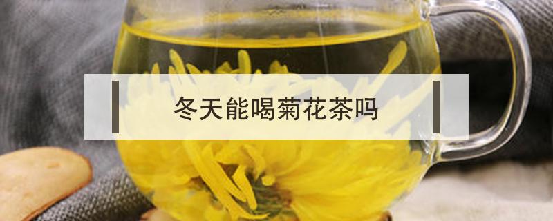 冬天能喝菊花茶吗（冬天能喝菊花茶吗?）