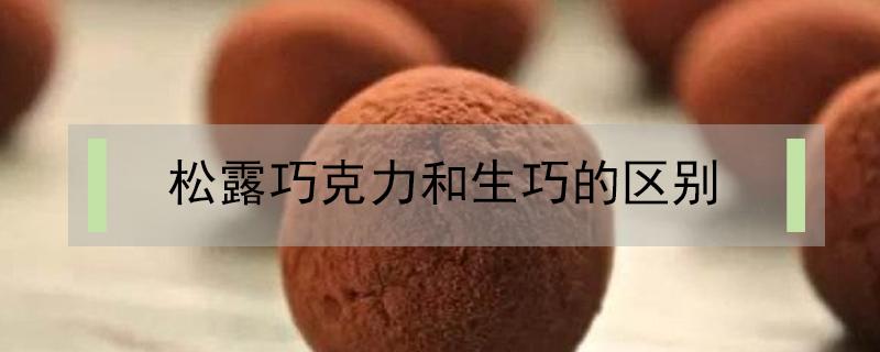 松露巧克力和生巧的区别（松露巧克力 生巧）