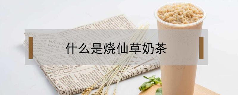 什么是烧仙草奶茶