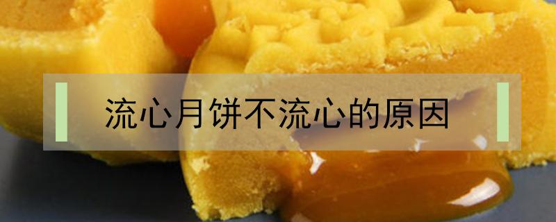 流心月饼不流心的原因 为什么流心月饼不流心