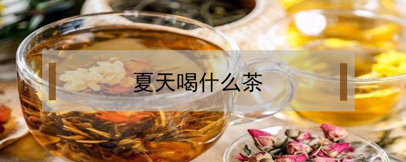 夏天喝什么茶（夏天喝什么茶好是最好的女人）