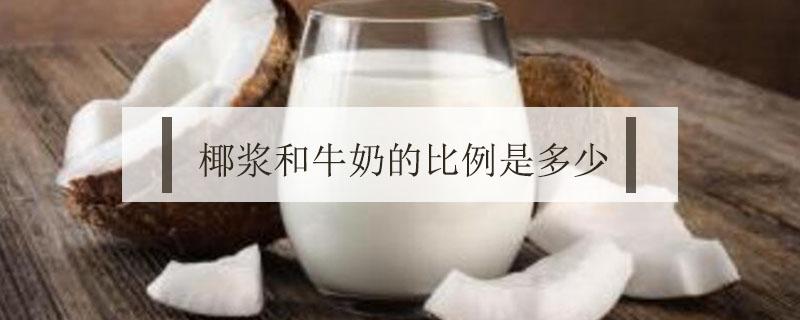 椰浆和牛奶比例是多少（椰浆和酸奶的比例）