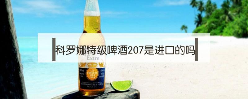 科罗娜特级啤酒207是进口的吗（科罗娜特级啤酒207ml多少钱）