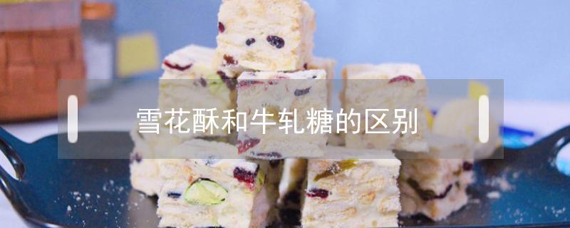 雪花酥和牛轧糖的区别 雪花酥和牛轧糖有什么区别