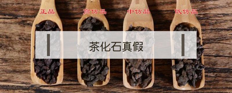 茶化石真假（茶化石真假辨别）