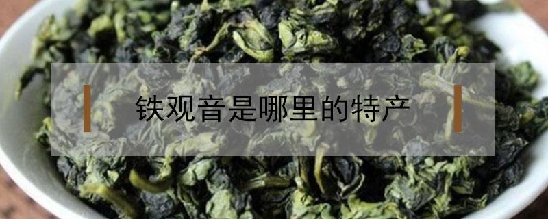 铁观音是哪里的特产