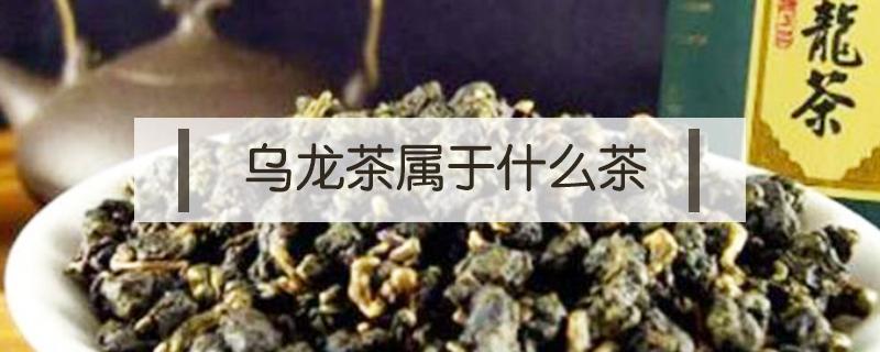 乌龙茶属于什么茶（冻顶乌龙茶属于什么茶）