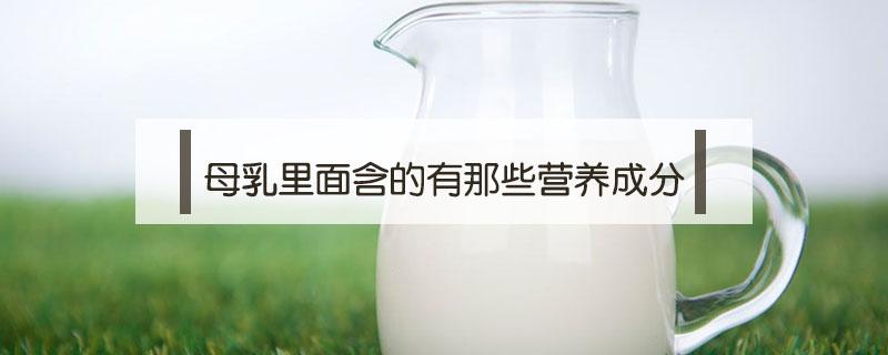 母乳里面含的有那些营养成分 母乳有什么营养成份