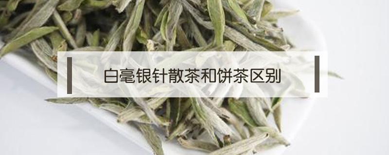 白毫银针散茶和饼茶区别（白毫银针有饼茶吗）