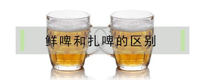 鲜啤和扎啤的区别（扎啤和鲜啤一样吗）