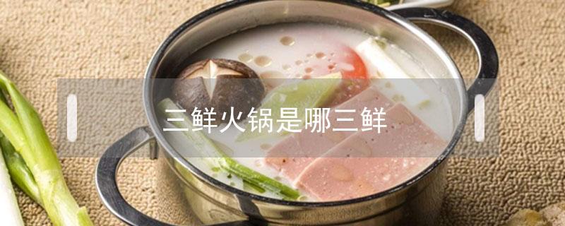 三鲜火锅是哪三鲜（三鲜火锅有什么）