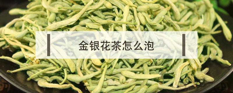 金银花茶怎么泡