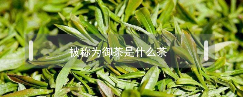 被称为御茶是什么茶（被称为御茶是什么意思）