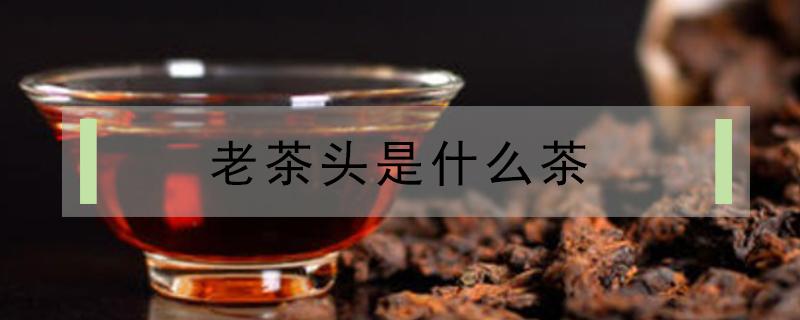 老茶头是什么茶（冰岛老茶头是什么茶）