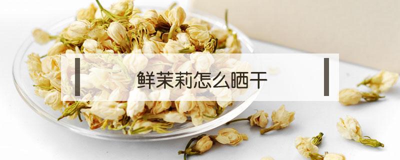 鲜茉莉怎么晒干（茉莉花可以直接晒干吗）