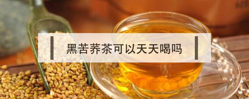 黑苦荞茶可以天天喝吗