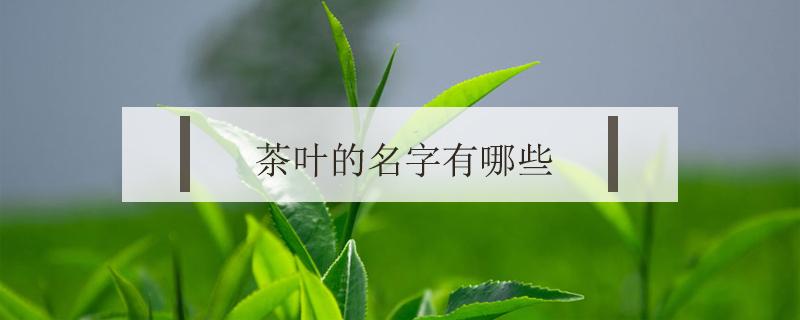 茶叶的名字有哪些 茶叶的名字都有哪些