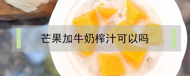 芒果加牛奶榨汁可以吗 鲜榨芒果汁可以加牛奶吗