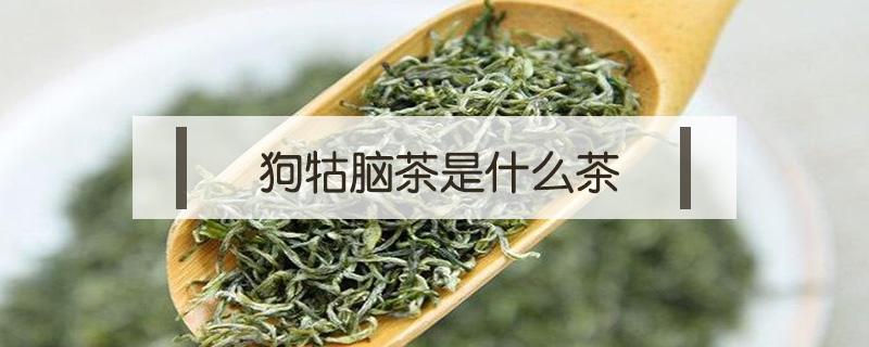 狗牯脑茶是什么茶 遂川狗牯脑茶是什么茶