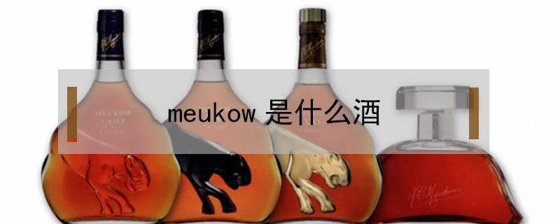 meukow是什么酒 meukow是什么酒多少钱40度的emb17224a