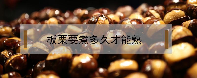 板栗要煮多久才能熟（板栗要煮多久才能熟?）