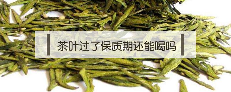 茶叶过了保质期还能喝吗（包装茶叶过了保质期还能喝吗）