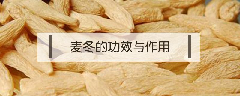 麦冬的功效与作用 麦冬的功效与作用禁忌及食用方法