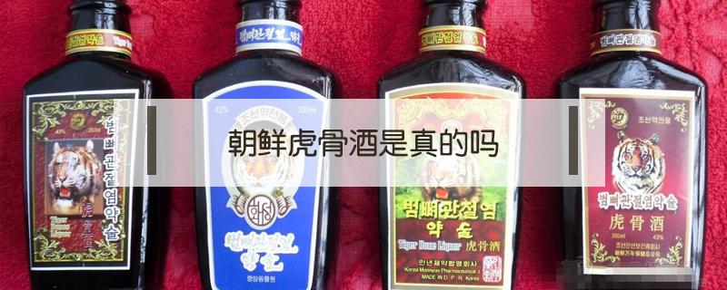 朝鲜虎骨酒是真的吗（朝鲜虎骨酒是真的吗?）