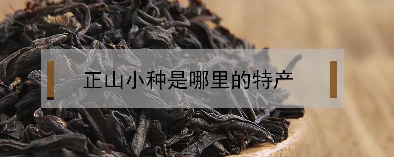 正山小种是哪里的特产 正山小种产于哪个地方