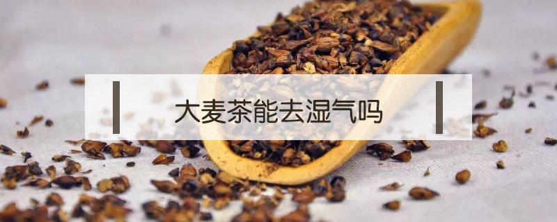 大麦茶能去湿气吗 大麦茶能去湿气吗?