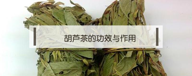 胡芦茶的功效与作用 胡芦茶有什么作用