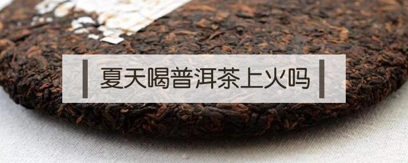 夏天喝普洱茶上火吗（常喝普洱茶上火吗）