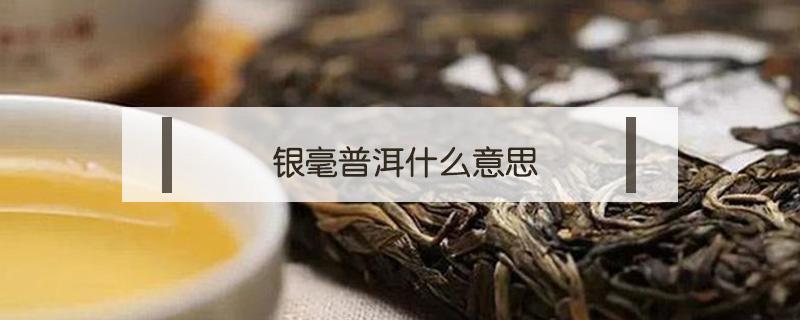 银毫普洱什么意思 银毫茶饼是普洱茶吗