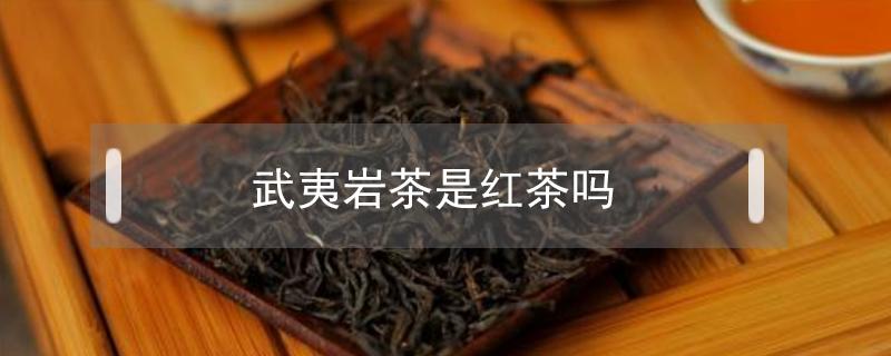武夷岩茶是红茶吗（武夷红茶是红茶吗）