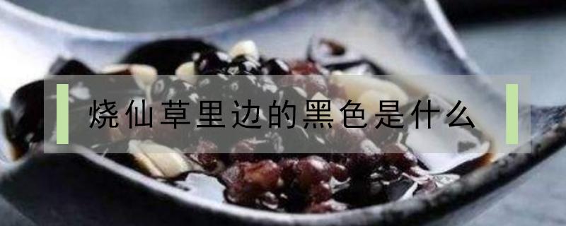 烧仙草里边的黑色是什么